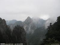 ��Ͳ���ַ�������Ƶ��ɽ����ί�ỻ���Ʊ����߱��� ��ѡ�����...